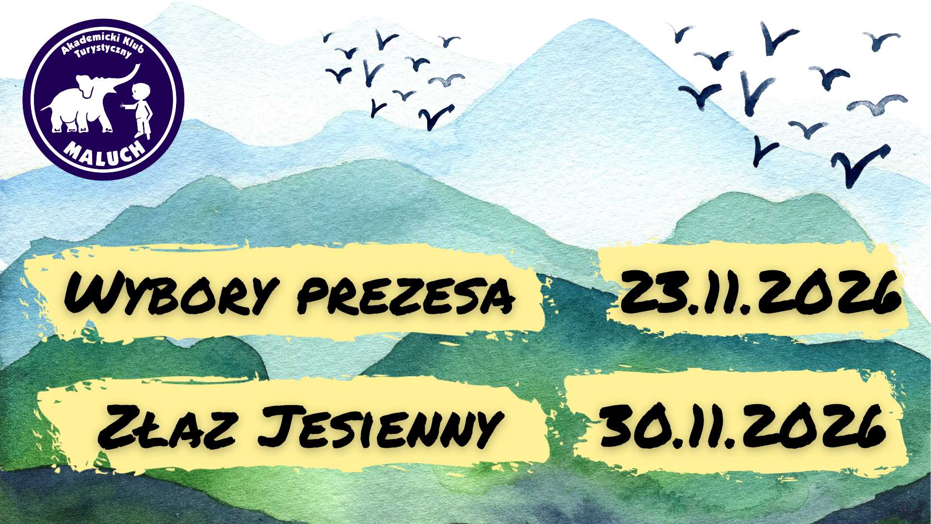 Wybory prezesa